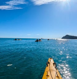 Kayak in Abel Tasman G03MAR25
