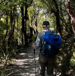 Man hiking in Whanganui River 200125