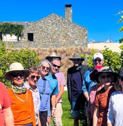 Marlborough Sound Vineyards M10MAR25