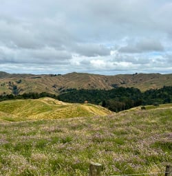 Matahuru Valley 200125