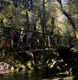 Milford Track guided hiking tour G03MAR25
