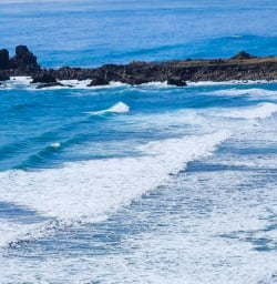New Zealand West Coast 03FEB25