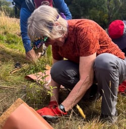 Tree planting Arrowtown M10MAR25