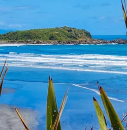 West Coast New Zealand 03FEB25
