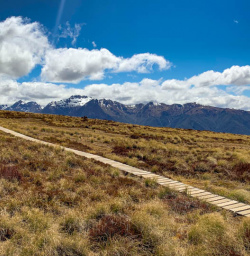 Boardwalk on the Kepler