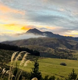 guests explore South Island GW17MAR26