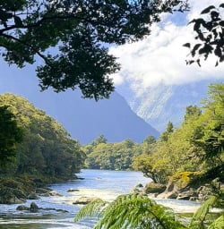 guests on Milford Track GW17MAr26