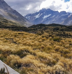 hiking aoraki mount cook canterbury