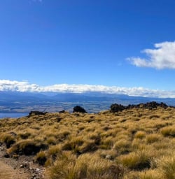 kepler track GW17MAR26