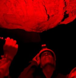 5 Glow Wom Cave Tour 11MAR25
