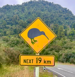 New Zealand West Coast 03FEB26