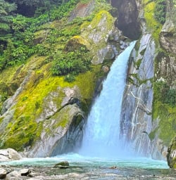 giants gate Milford Track GW17MAR26