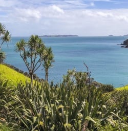 Waiheke Island Auckland New Zealand