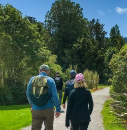 Hike to Lake Matheson