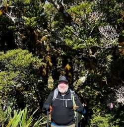 Routeburn Track forest 24MAR25