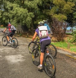 Bike Tour at Lake Taupo, Waikato New Zealand
