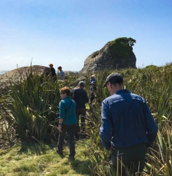Exploring Martins Bay