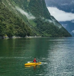 Kayaking Milford Sound