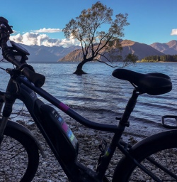 Lake Wanaka Tree and Bike, Otago New Zealand