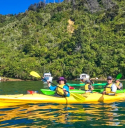 Group kayak Queen Charlotte Sound