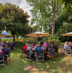 Lunch in Marlborough, New Zealand