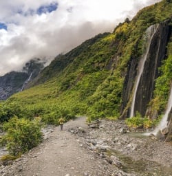 Fox Glacier valley track, West Coast New Zealand