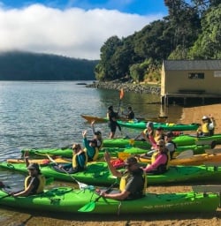 Kayaking Lochmara lodge