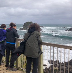 Group at Punakaiki pancake rocks and blowholes, West Coast New Zealand