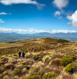 Kepler track guests on track