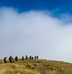 Bushline Hut hiking tour