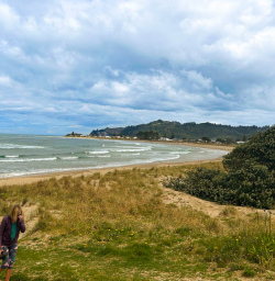 Coromandel coastline