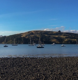 Akaroa Harbour, Canterbury New Zealand