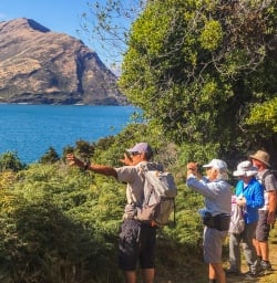 Walking tour at Mou Waho Island, Wanaka Otago New Zealand