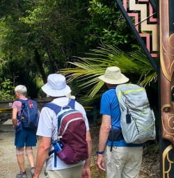 Hike Paparoa National Park 03FEB25