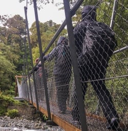 Passing bridge at Hollyford track, Fiordland New Zealand