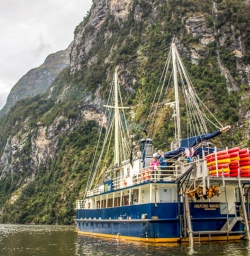 Milford Wanderer, Milford Sound Fiordland New Zealand