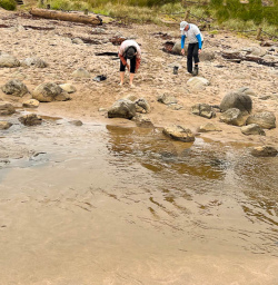 Hot water beach 