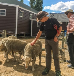 Mount Nicholas Farm Experience, Otago New Zealand