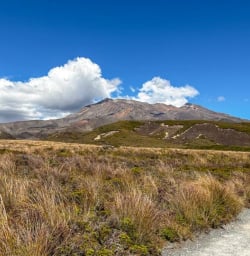 4 Tongariro National Park 11MAR2025