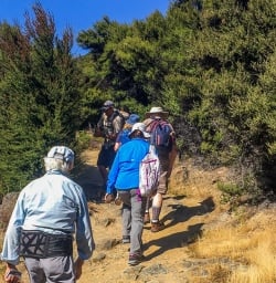 Walking at Mou Waho Island, Wanaka Otago New Zealand