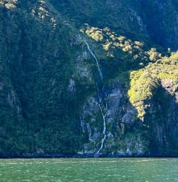 Milford Sound cruise 24MAR25