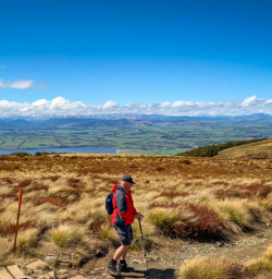 Tussocks and views on the Kepler