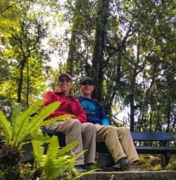Bush at Lake Matheson