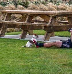 Taking picture of a dog in New Zealand