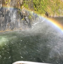 Rainbow from waterfall Milford Sound