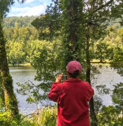 Lake Matheson scenery