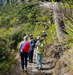 Paparoa National Park hiking and adventure tours