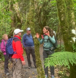4. Guide sharing knowledge of local plants