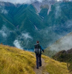 Multi day hike to Bushline Hut with New Zealand Trails