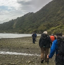 Walking at Martins Bay, Fiordland New Zealand